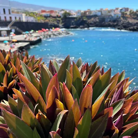 Alcamar Oceano New Near The Sea In Alcala! Apartment Alcala (Tenerife)